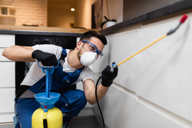 Best Wasp Removal Services  in Herington, KS