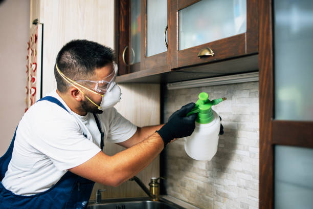 Best Affordable Pest Control Services  in Herington, KS