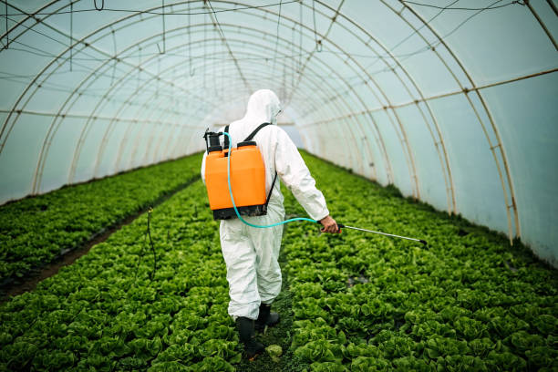Best Insect Control  in Herington, KS