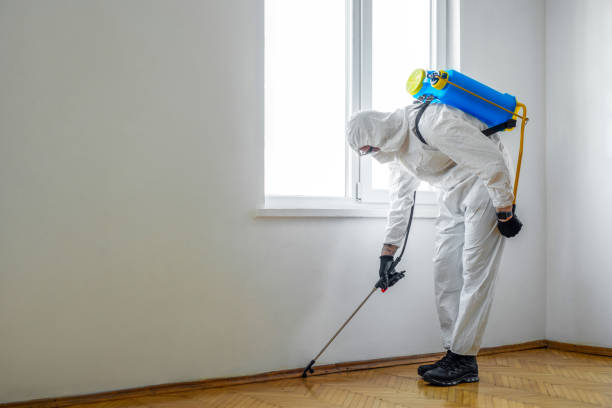 Best Emergency Pest Control  in Herington, KS