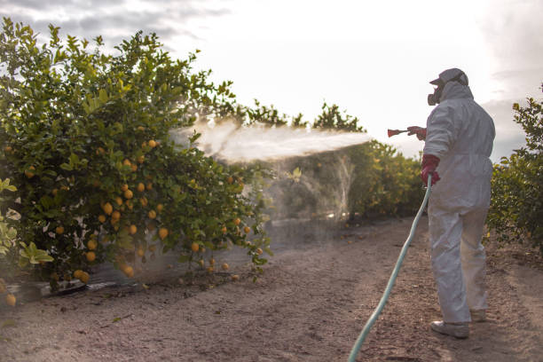 Best Mosquito Control Services  in Herington, KS