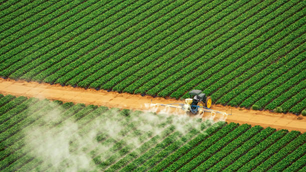 Best Insect Control  in Herington, KS