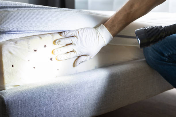 Best Pest Control for Businesses  in Herington, KS