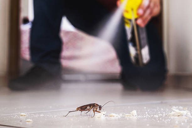 Best Termite Control Services  in Herington, KS