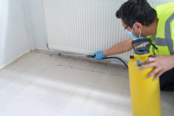 Pest Control for Restaurants in Herington, KS