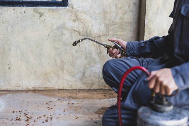 Best Residential Pest Control  in Herington, KS